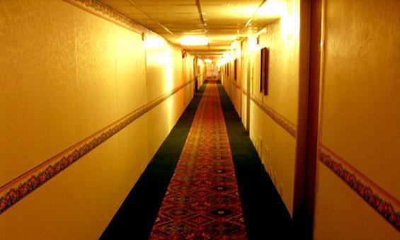 Executive Inn - Knoxville Inreriör bild